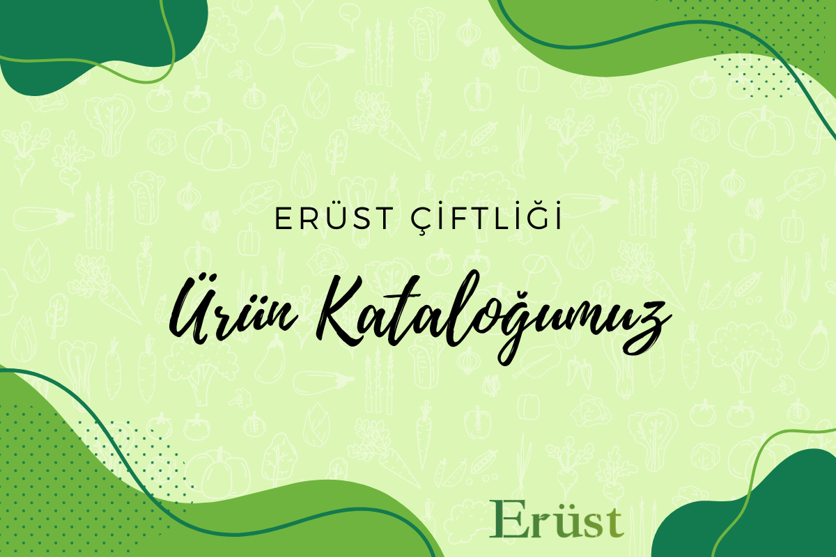 Ürün Kataloğumuz