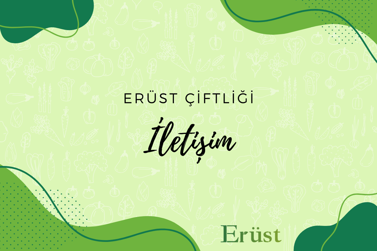 İletişim Bilgilerimiz