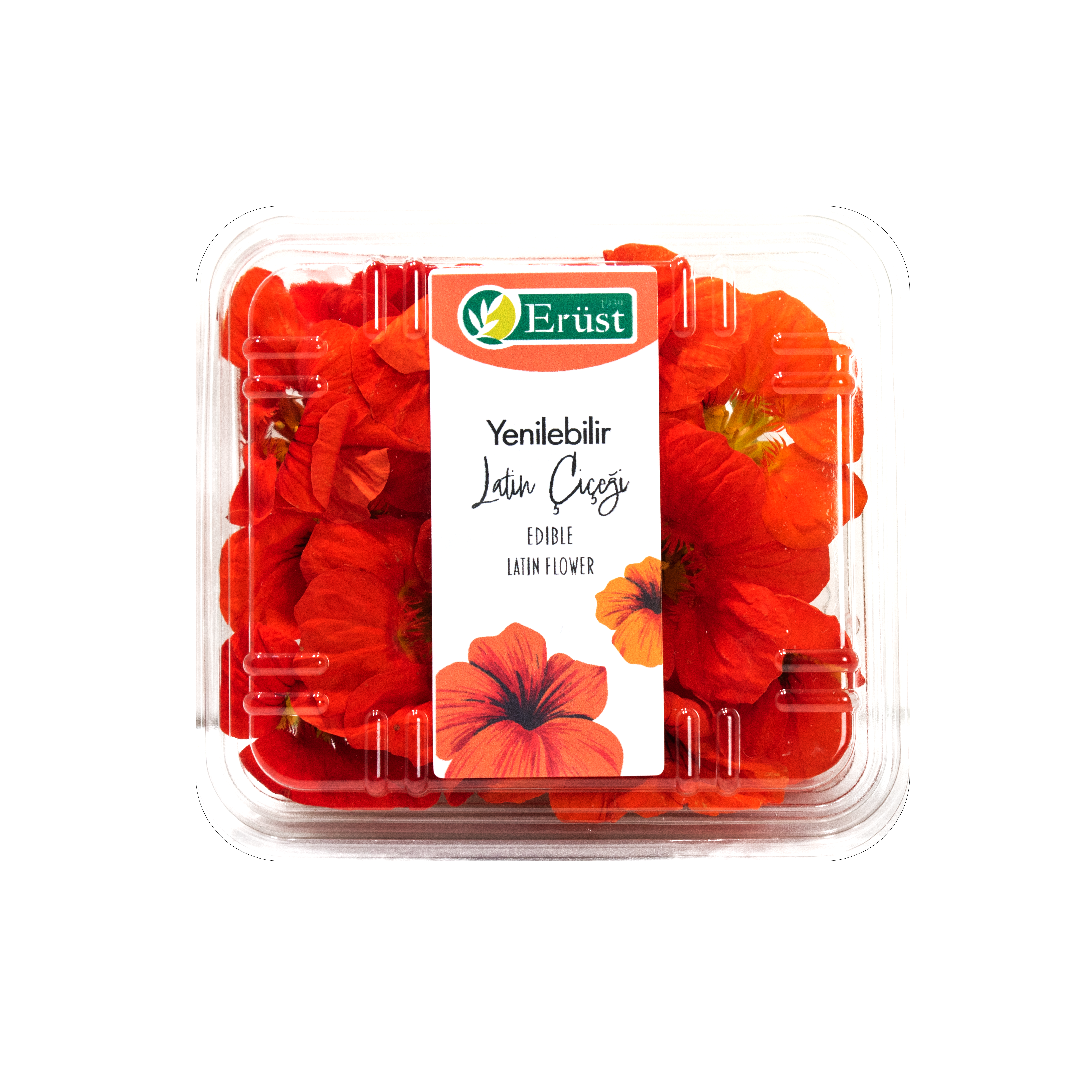 Latin Çiçeği (Latin Flower)