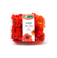 Latin Çiçeği (Latin Flower)