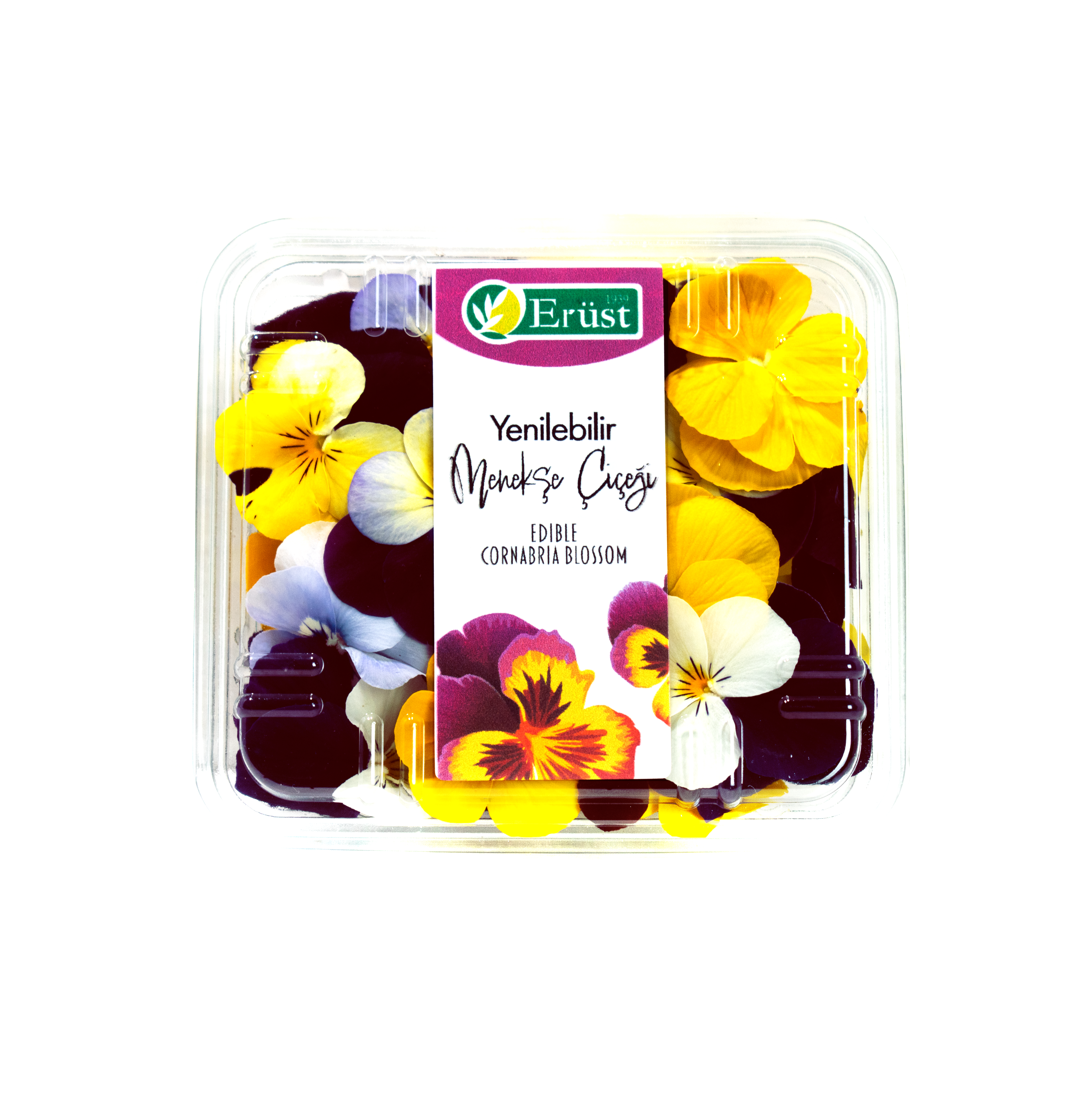 Menekşe Çiçeği (Cornabria Blossom)