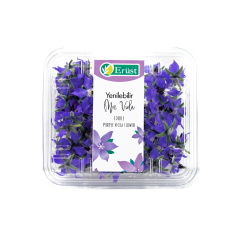 Mor Viola (Viola Flower)