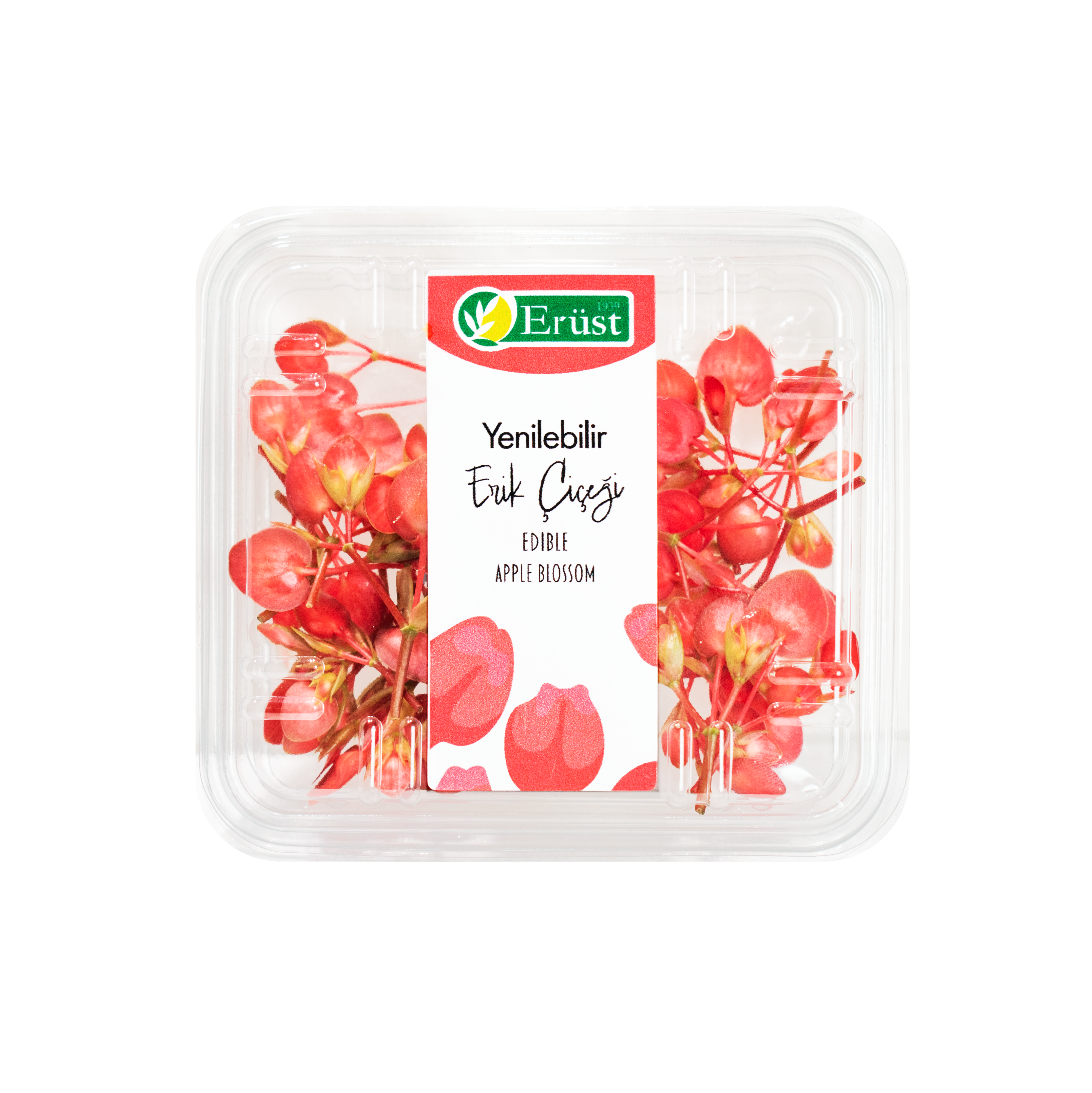 Erik Çiçeği (Apple Blossom)