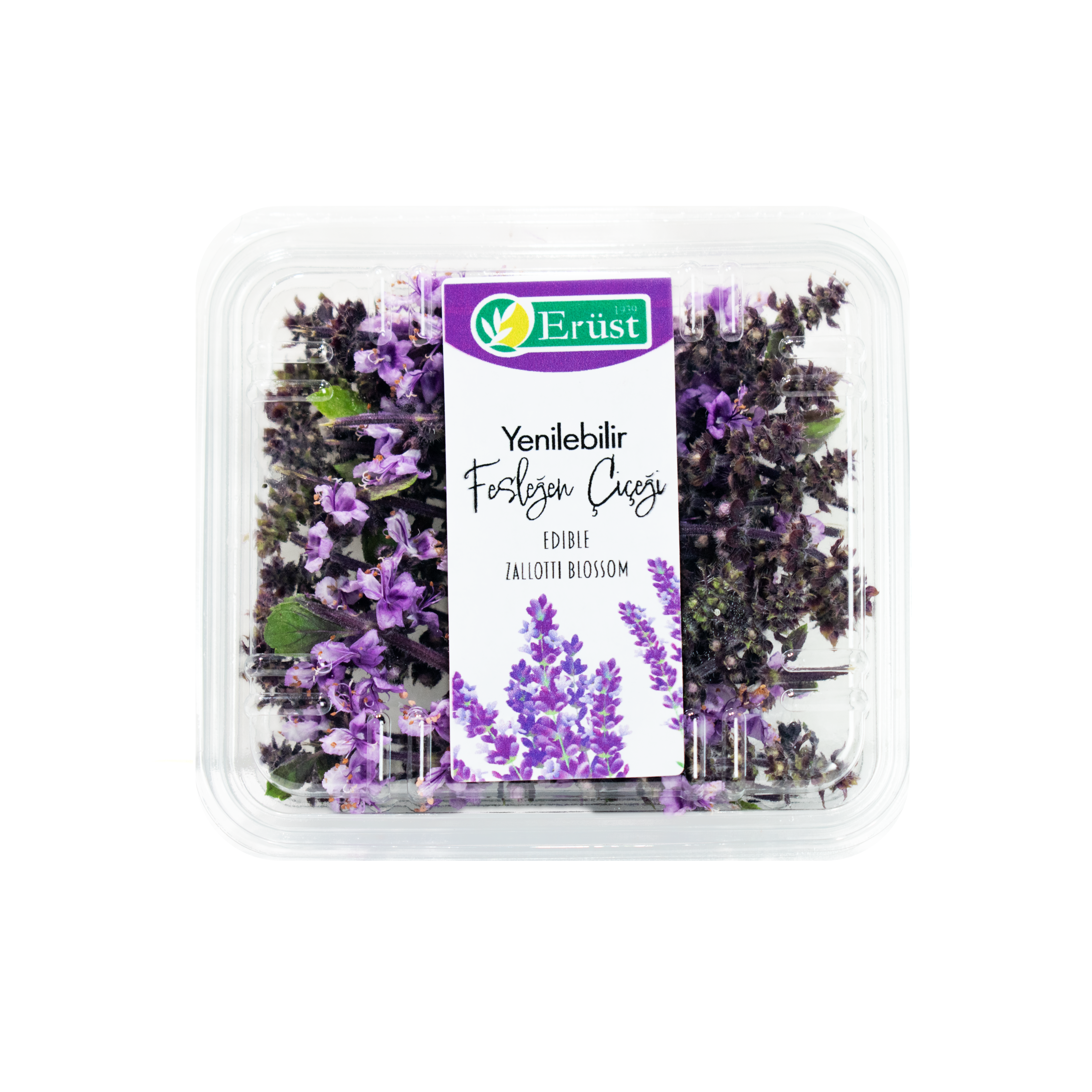 Fesleğen Çiçeği (Zallotti Blossom)