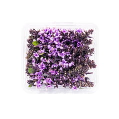 Fesleğen Çiçeği (Zallotti Blossom)