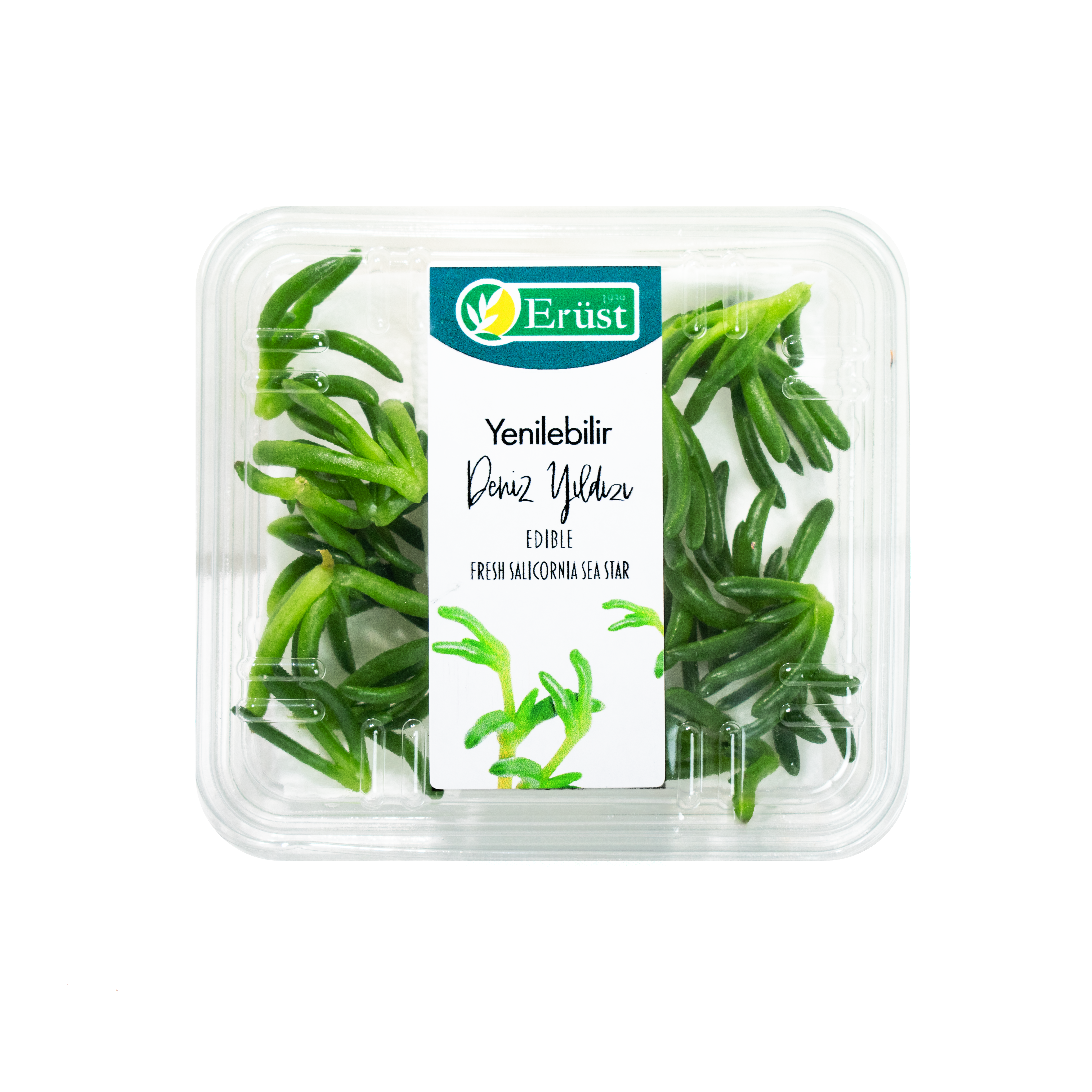 Deniz Yıldızı (Salty Fingers)