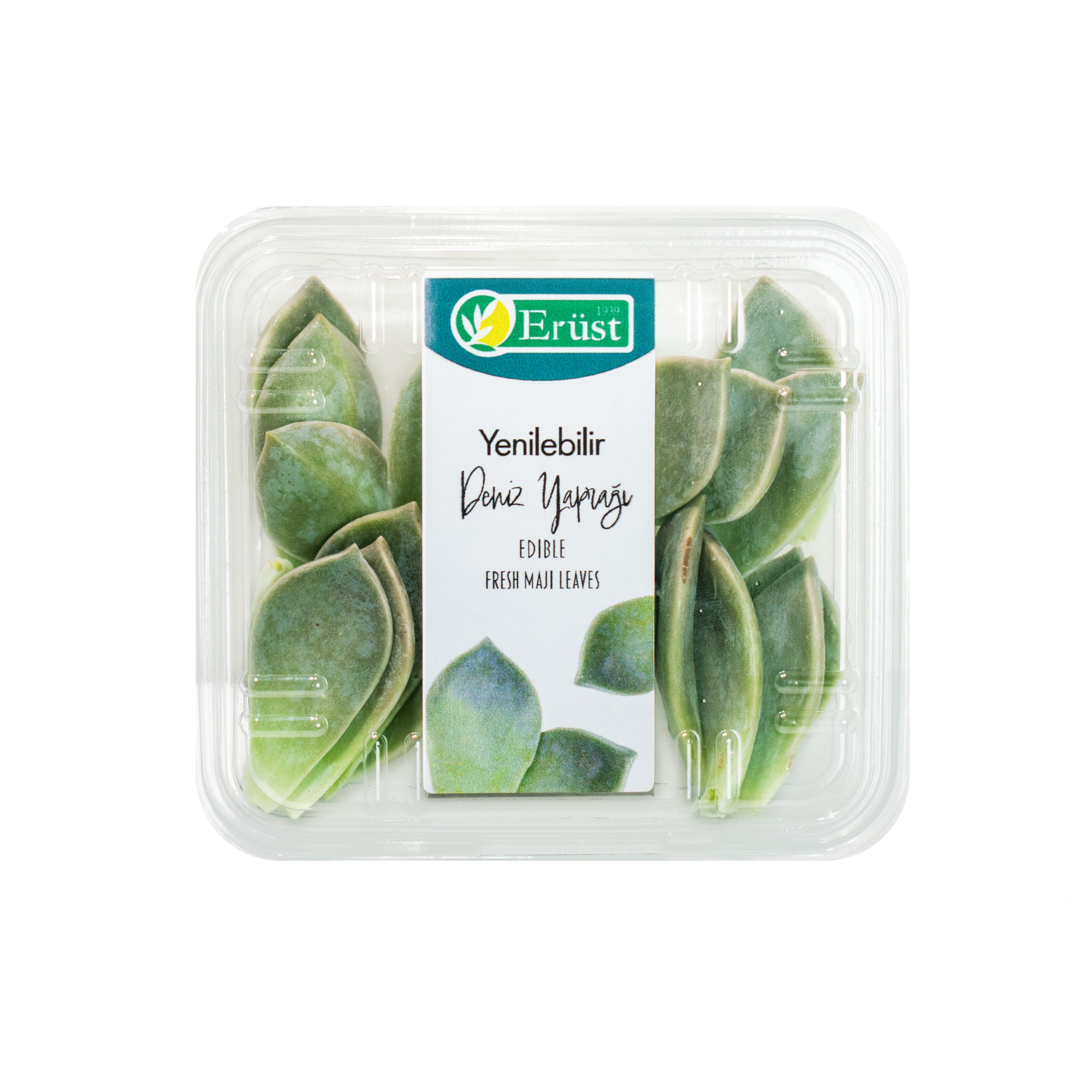 Deniz Yaprağı (Majii Leaves)