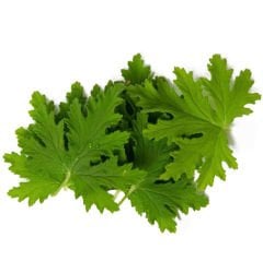 Itır Otu (Itır Leaves)