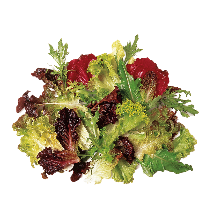 Karışık Akdeniz Salata  (Mix Mediterranean Salad)