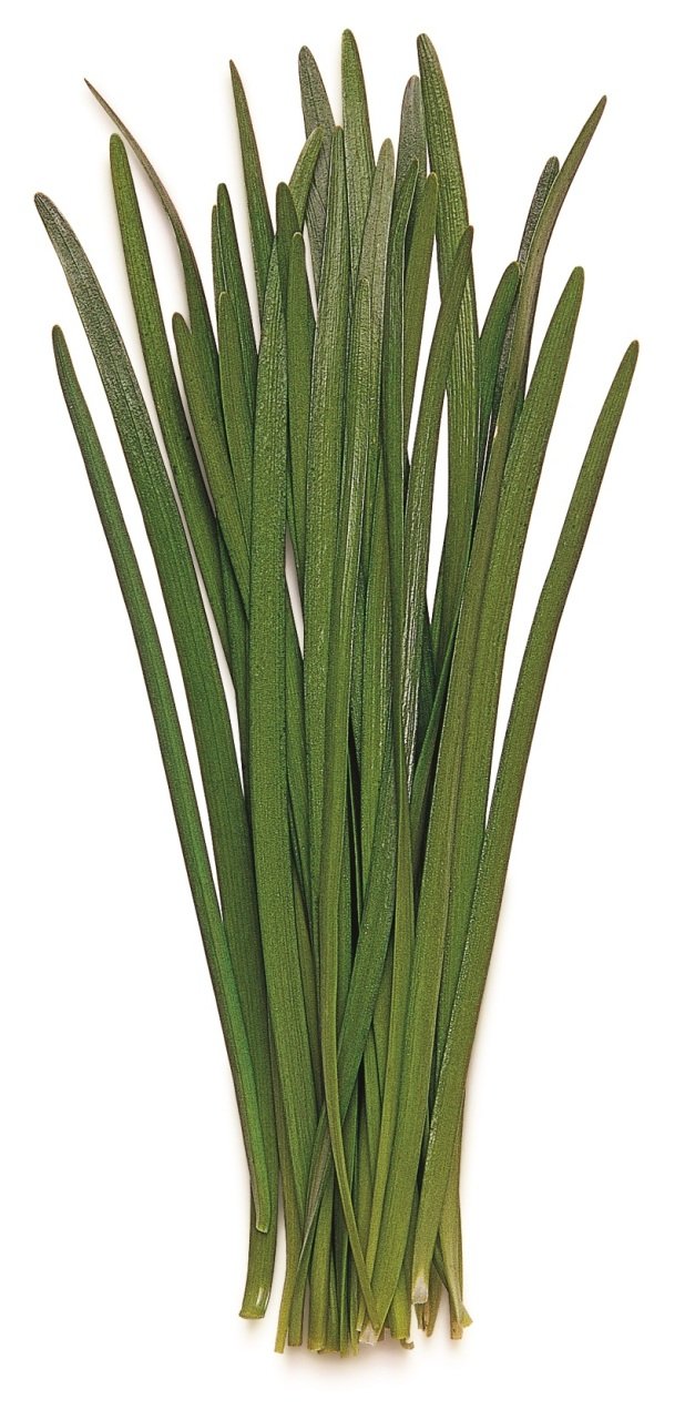 Biçme Sarımsak (Garlic Chives)