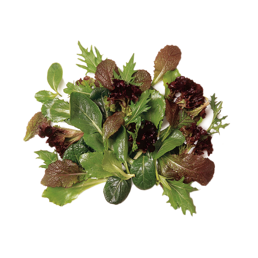 Karışık Maskolin Salata
