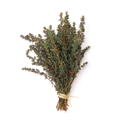 Kekik (Thyme)