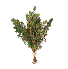 Limonlu Kekik (Lemon Thyme)