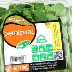 Semizotu (Purslane)