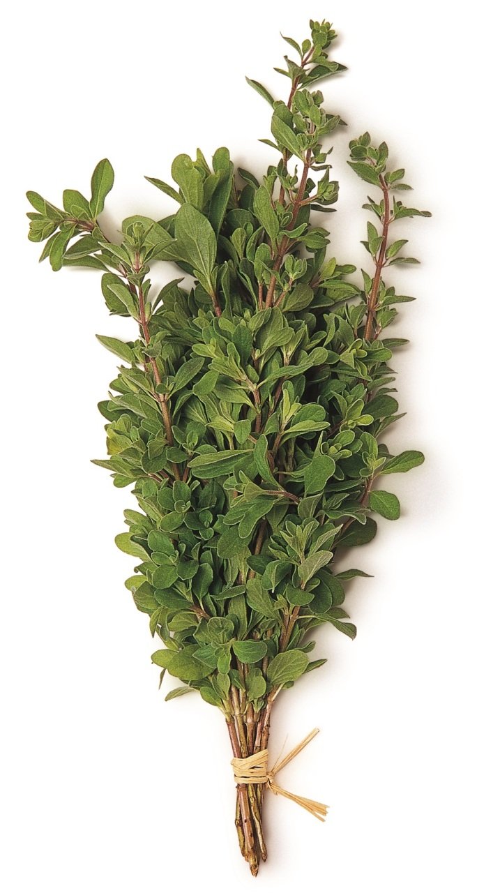 Mercan Köşk (Marjoram)