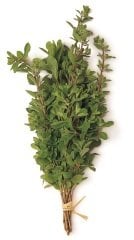 Mercan Köşk (Marjoram)