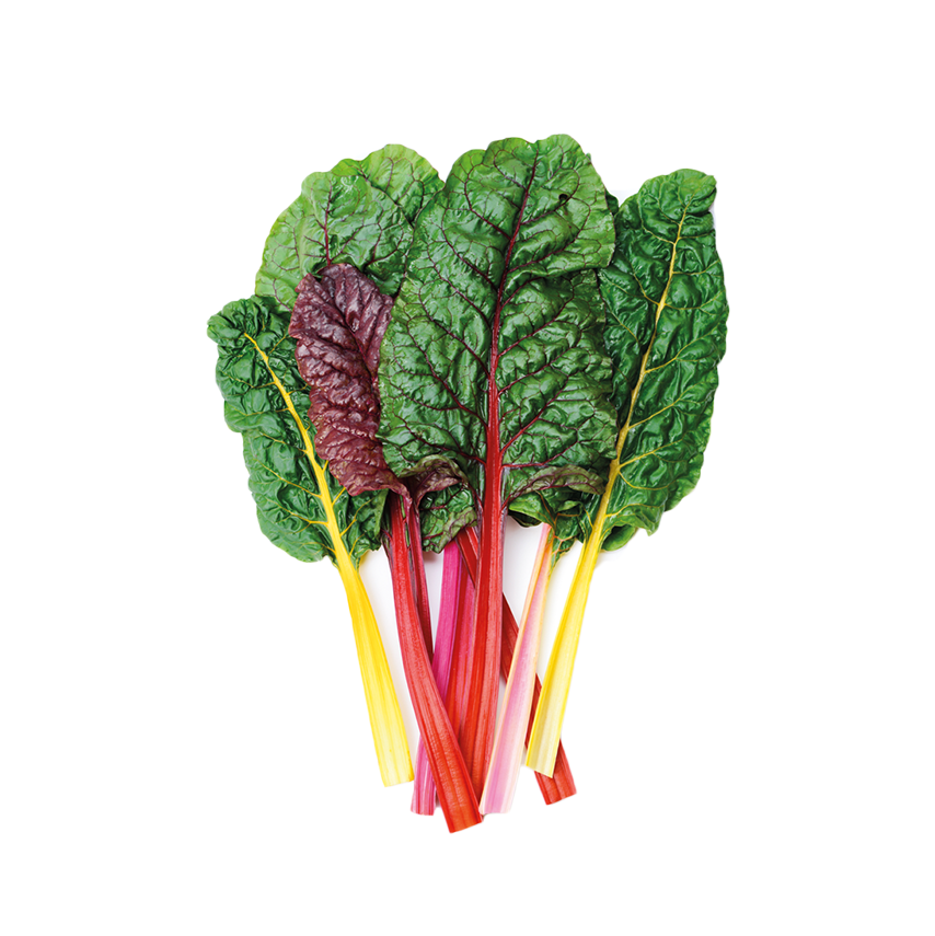 Renkli Pazı (Swiss Chard)