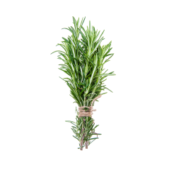 Rozmarin Biberiye (Rosemary)