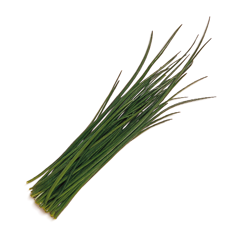 Frenk Soğanı (Chives)