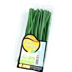 Frenk Soğanı (Chives) 25 g