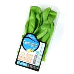 Fesleğen (Basil) 25 g