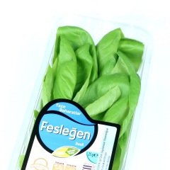 Fesleğen (Basil) 25 g