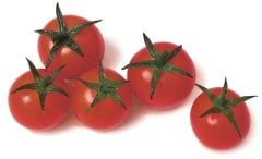 Çeri Domates (Baby Cherry Tomatoes)