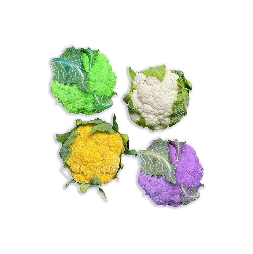 Atıştırmalık Renkli Karnabahar (Colorful Cauliflower)