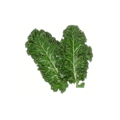 Kale Yaprağı (Kale Leaves)