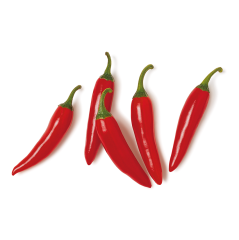 Meksika Biber (Chilli Pepper)