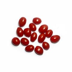 Atıştırmalık Şeker Domates -(Sweet Tomato For Snack)