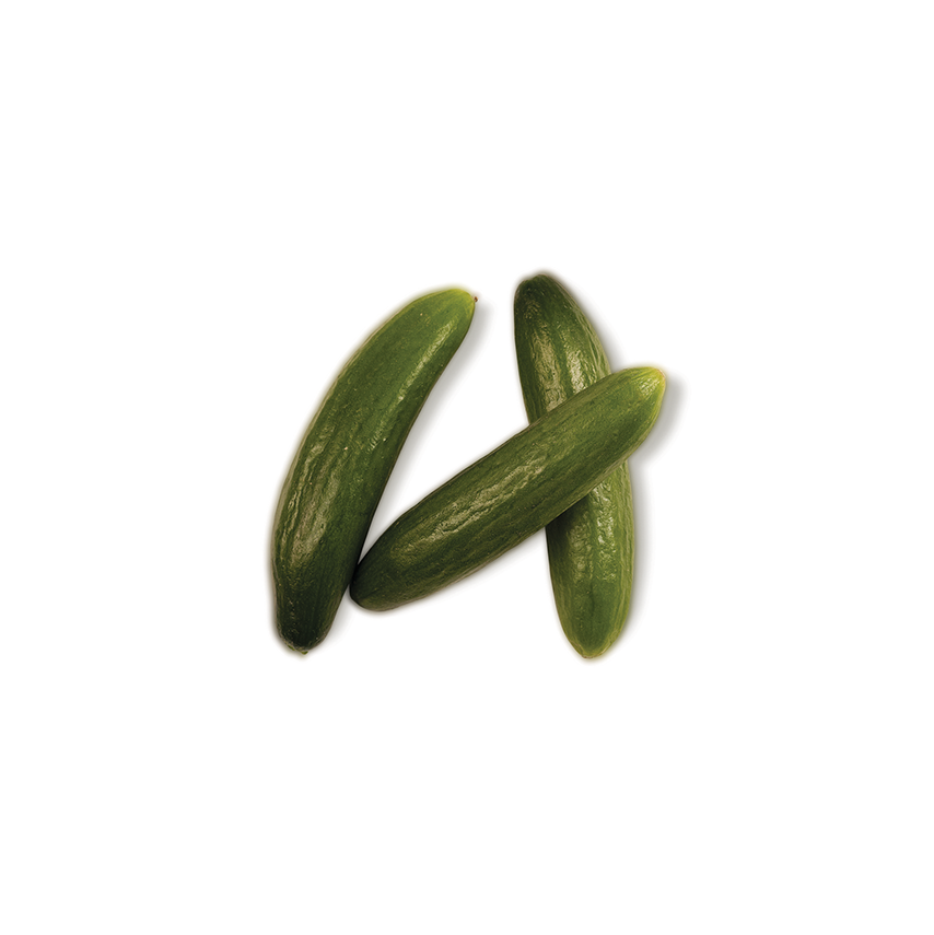 Atıştırmalık Mini Hıyar (Baby Cucumber For Snack)