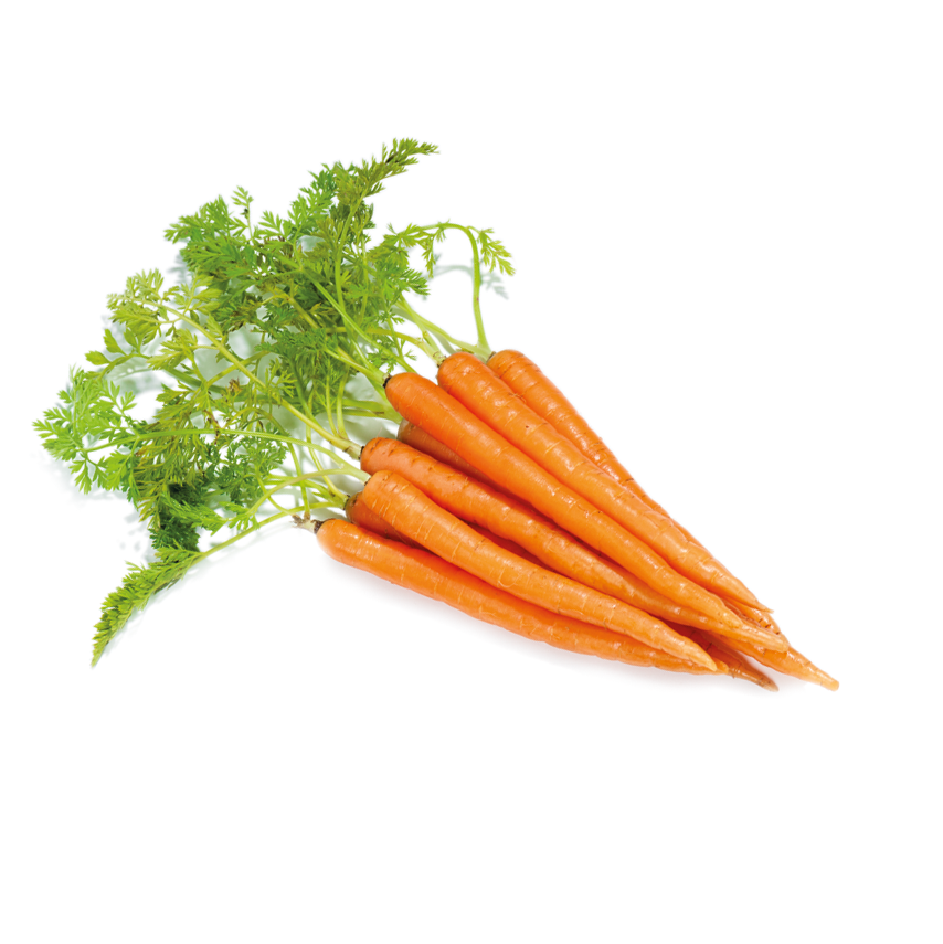 Mini Havuç (Baby Carrot)