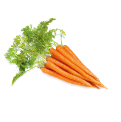 Mini Havuç (Baby Carrot)