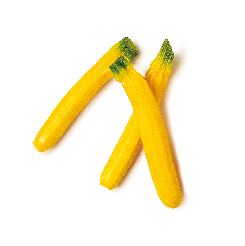 Mini Sarı Kabak (Baby Gold Squash)