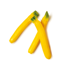 Mini Sarı Kabak (Baby Gold Squash)