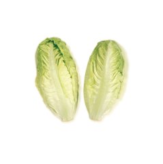 Mini Yedikule (Baby Coslettuce)