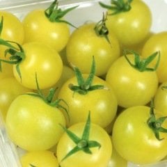 Sarı Çeri Domates (Gold Cherry Tomatoes)