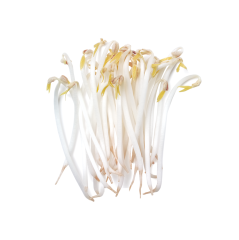 Soya Filizi (Soybean Sprouts)