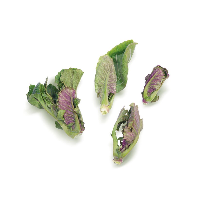 Cibes (Cabbage Sprouts)