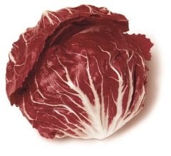 Polorosso (Radicchio)