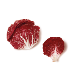 Polorosso (Radicchio)