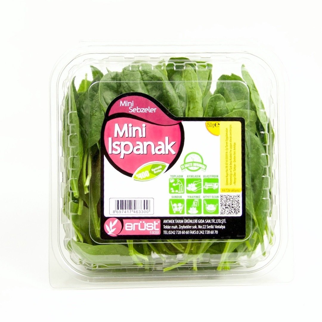 Mini Ispanak (Baby Spinach)