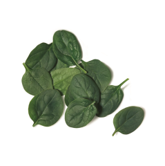 Mini Ispanak (Baby Spinach)