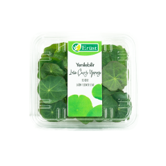 Latin Çiçeği Yaprağı (Latin Flower Leaf)
