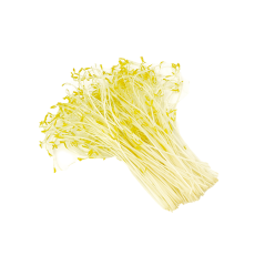 Mercimek Sebze Filizi (Lentil Sprouts)