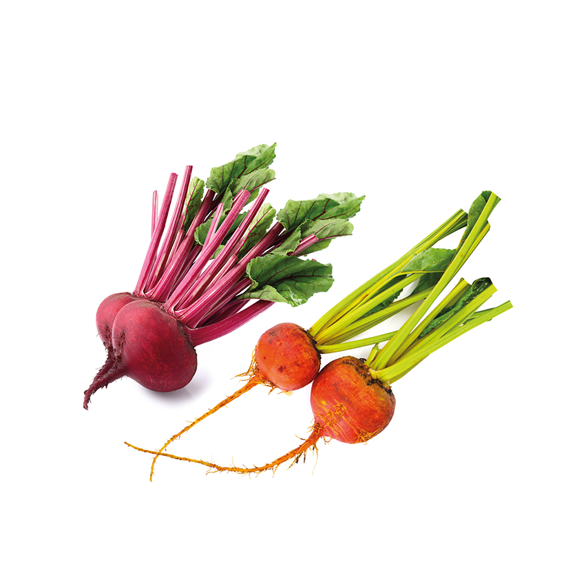 Renkli Mini Pancar (Baby Beet) - 6\' lı