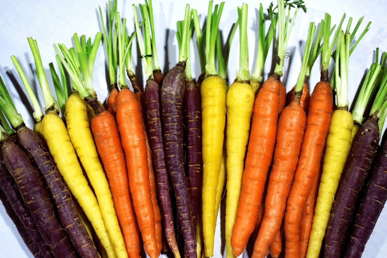 Renkli Havuç (Colorful Carrots) - 12'li