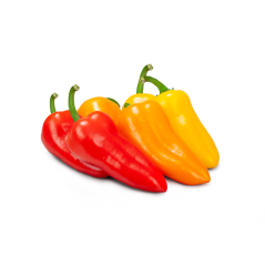 Mini Renkli Tatlı Biber (Baby Capia Pepper)