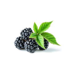 Böğürtlen (Blackberry) - 125 gr
